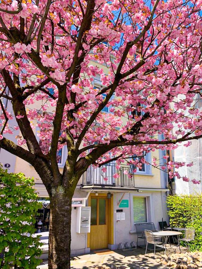 Citylodge St Gallen - 2 Min To Marktplatz Sankt Gallen Eksteriør billede