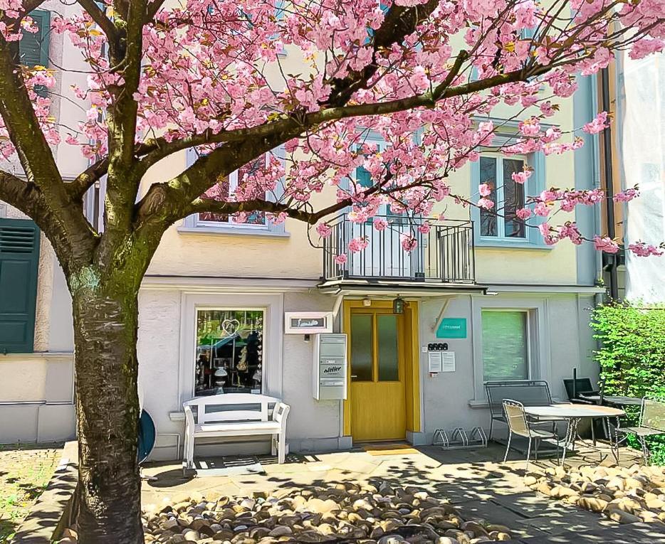 Citylodge St Gallen - 2 Min To Marktplatz Sankt Gallen Eksteriør billede